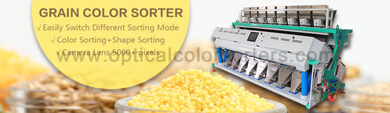 Rice Processing CCD System 99.99% Grain Color Sorter